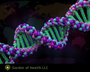 Genetic Testing Scottsdale Arizona