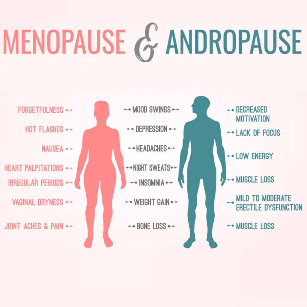 Mid-Life And Menopause In Humans